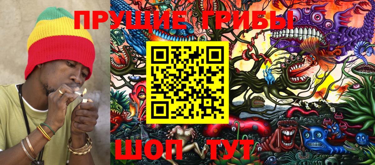 Уссурийск  Псилоцибиновые грибы Psilocybe  Вход с VPN 